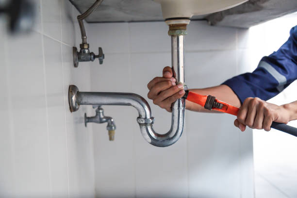Best Sprinkler Systems  in New Brighton, MN